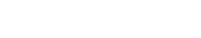 Soulstice logo