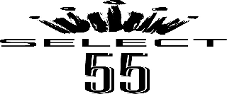 SELECT 55