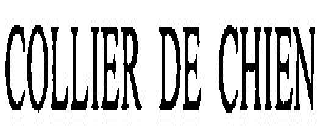 COLLIER DE CHIEN