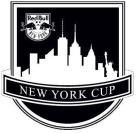 RED BULL NEW YORK NEW YORK CUP