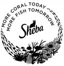 SHEBA MORE CORAL TODAY MORE FISH TOMORROW